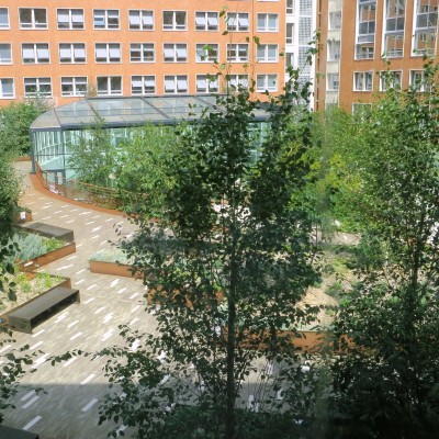 Ministère de la Santé -Jardin sur dalle