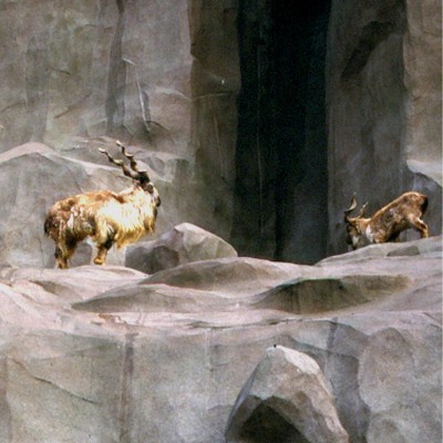 Grand Rocher du Zoo de Vincennes